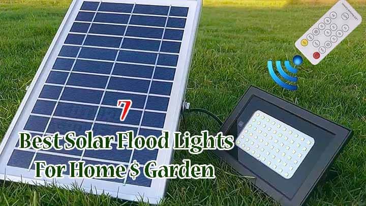 Best Solar Flood Lights
