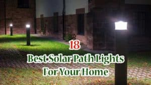 Best Solar Path Lights